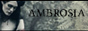 Ambrosia