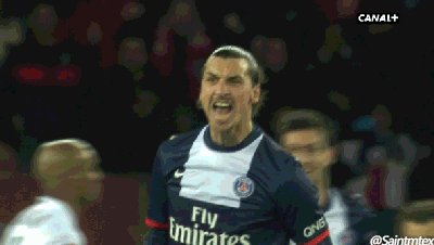 ibra-psg-sochaux-4298f03.gif